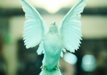 Відкриття Щорічної зустрічі Ялтинської Європейської Стратегії 2025